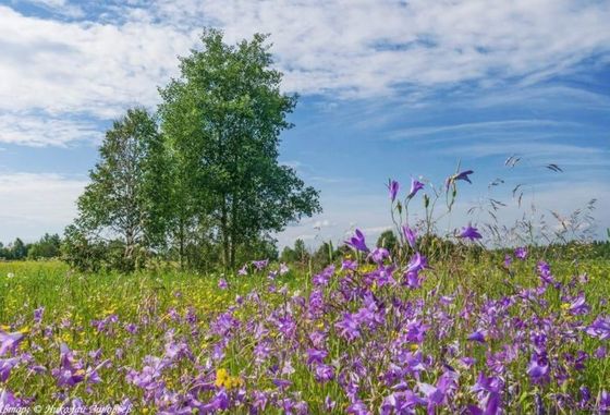 Продажа участка, 10 соток