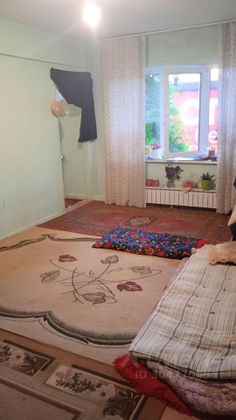 Продажа 3-комнатной квартиры 48,5 м², 1/5 этаж