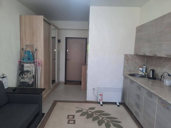 Продажа 1-комнатной квартиры 20 м², 1/8 этаж