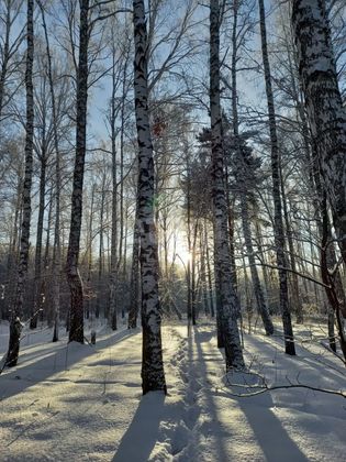 Продажа участка, 9 соток