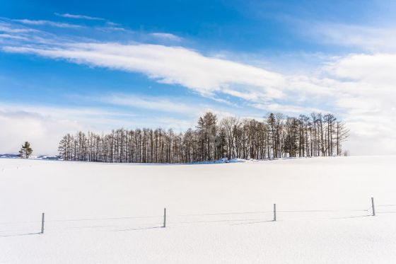 Продажа участка, 10 соток