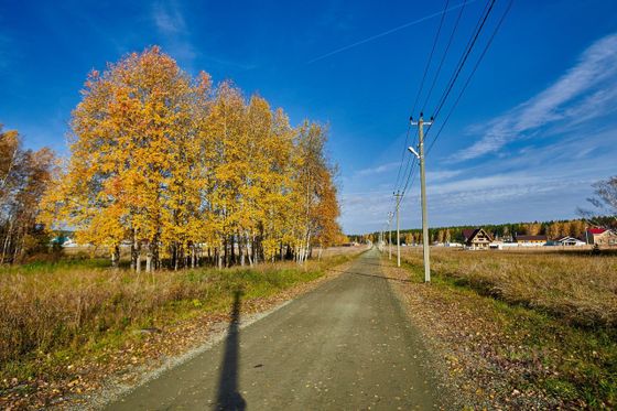 Продажа участка, 12 соток