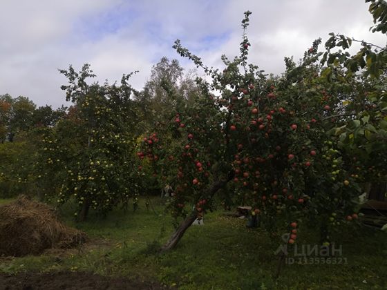 Продажа участка, 10 соток