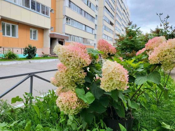 Продажа 3-комнатной квартиры 79,2 м², 5/10 этаж