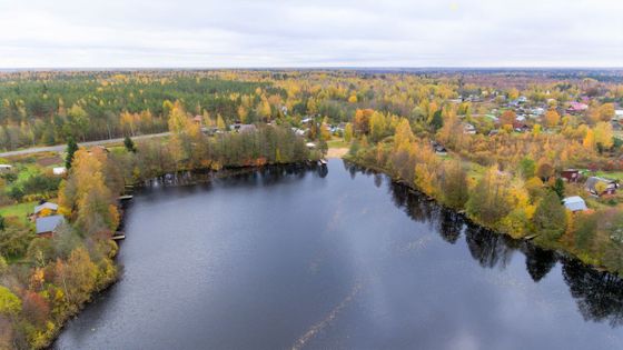 Карьеры в Любани Ленинградской области