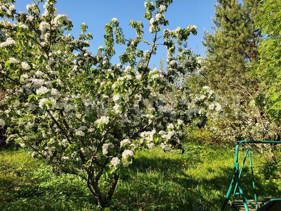 Продажа участка, 12,8 сотки