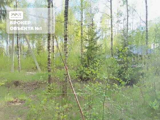 Продажа участка, 13 соток