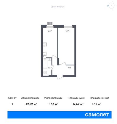 42,3 м², 1-комн. квартира, 1/12 этаж