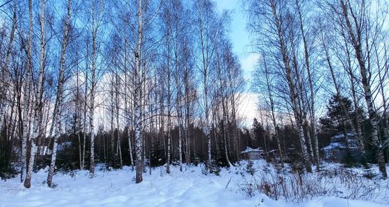 Продажа участка, 8,1 сотки