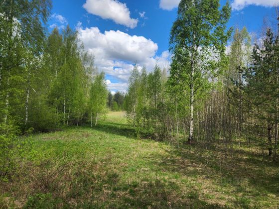 Продажа участка, 2,5 гектара