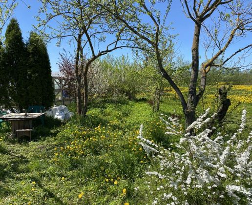 Продажа участка, 10 соток