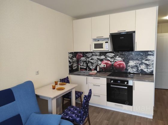 Аренда квартиры-студии 24 м², 11/17 этаж