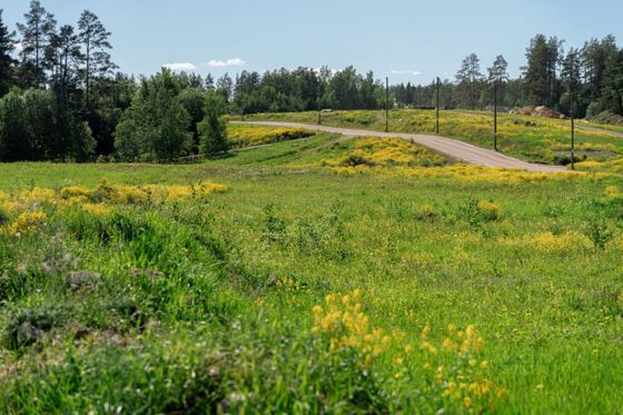 Продажа участка, 10 соток