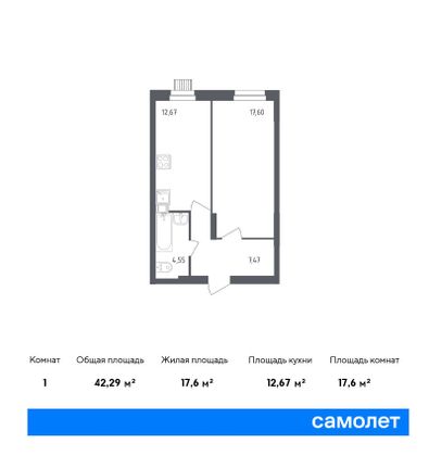 42,3 м², 1-комн. квартира, 1/12 этаж