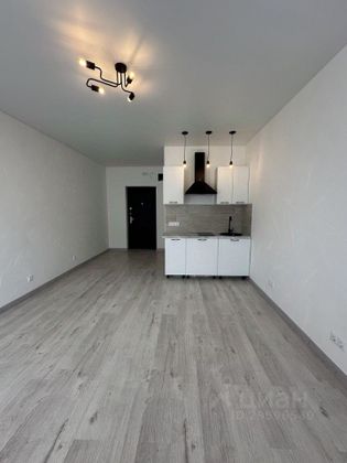 Продажа квартиры-студии 23,5 м², 12/18 этаж