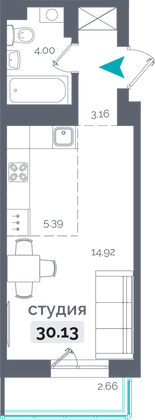 30,1 м², 1-комн. квартира, 14/15 этаж