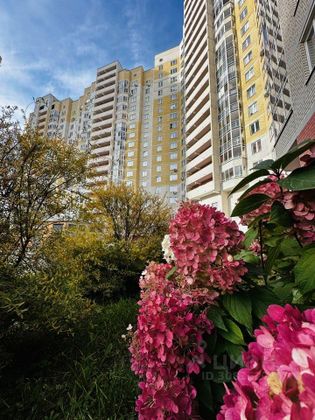 Продажа квартиры со свободной планировкой 43,9 м², 17/17 этаж