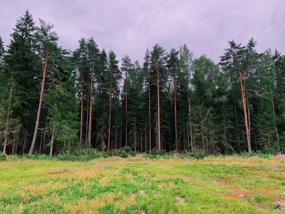 Продажа участка, 20 соток