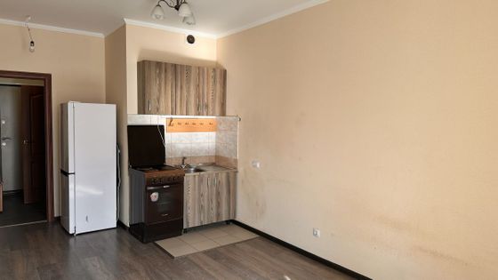 Продажа квартиры-студии 23,8 м², 3/20 этаж