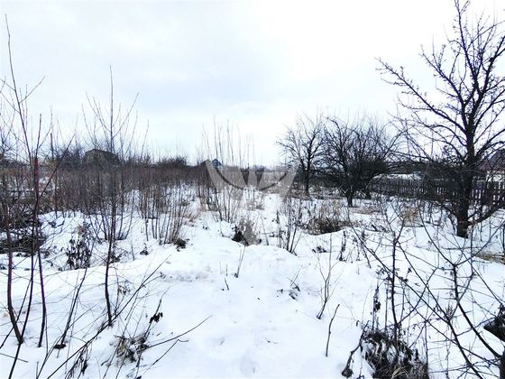 Взметнево рязанская область