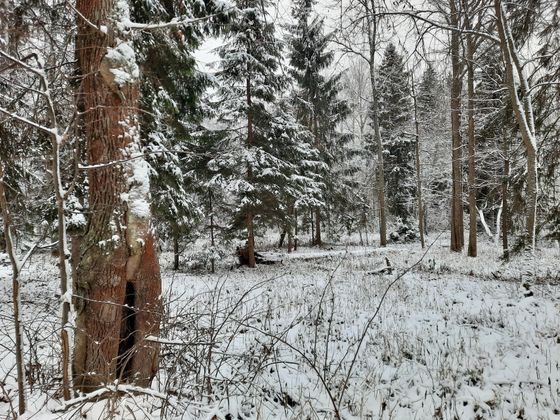 Продажа участка, 23 сотки