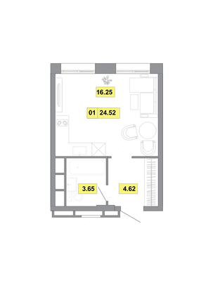 24,5 м², 1-комн. квартира, 9 этаж