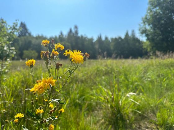 Продажа участка, 10 соток