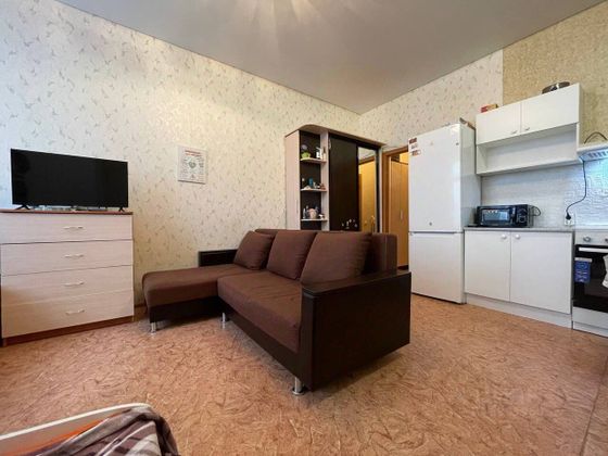 Продажа 1-комнатной квартиры 27,5 м², 13/14 этаж