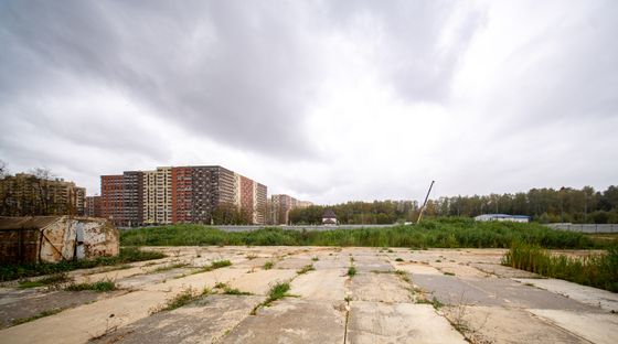 ЖК «Новое Пушкино», корпус 39 — 3 кв. 2025 г.