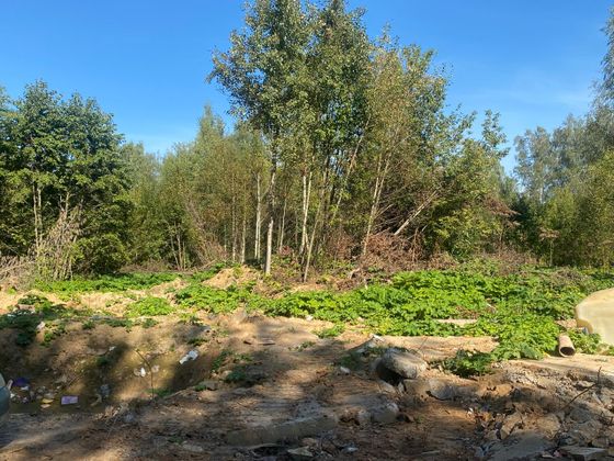 ЖК «Павлово 3», корпус 6 — 3 кв. 2025 г.