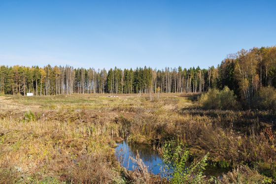 ЖК «Аникеевский», корпус 1.1 — 4 кв. 2024 г.