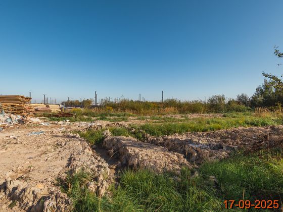 ЖК «Таллинский парк», ул. Невская, 14А — 3 кв. 2025 г.