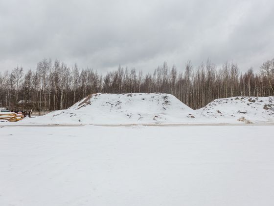 ЖК «Янинский лес», корпус 8 — 1 кв. 2024 г.