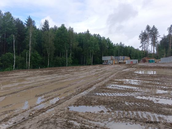 Квартал «Охтинские высоты», корпус 5 — 2 кв. 2025 г.
