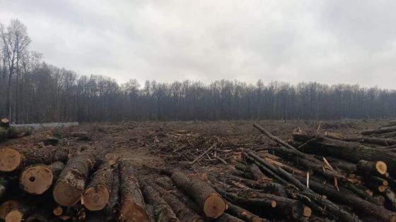 ЖК «Юго-Западный квартал», корпус 2 — 4 кв. 2025 г.