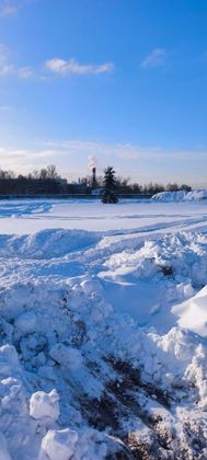 ЖК «Городской бор», корпус 1 — 1 кв. 2026 г.