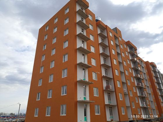 ЖК «Ново-Антропшино», корпус 18 (уч. 4) — 1 кв. 2025 г.