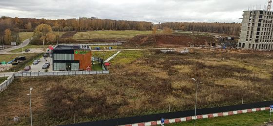 ЖК «Цветочные Поляны», корпус 10 — 3 кв. 2023 г.