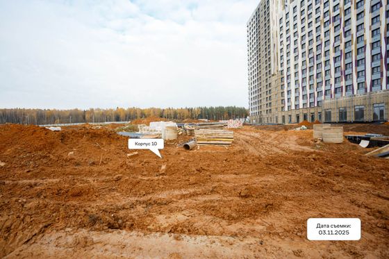 ЖК «Цветочные Поляны», корпус 10 — 4 кв. 2025 г.