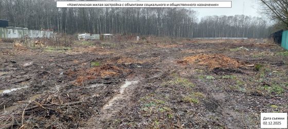 ЖК «Лесная Коллекция», корпус 1 — 4 кв. 2025 г.