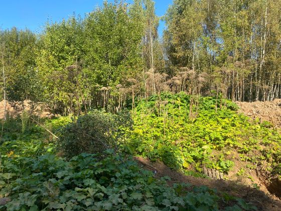 ЖК «Павлово 3», корпус 5 — 3 кв. 2025 г.