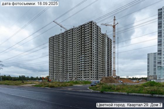 ЖК «Цветной город», Муринская дорога, 2 — 3 кв. 2025 г.