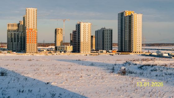 ЖК «Южная Нева», корпус 8 — 1 кв. 2026 г.
