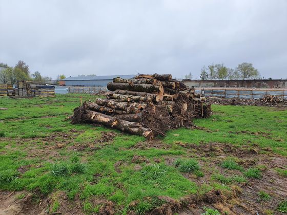 ЖК «Клевер», корпус 3 — 3 кв. 2022 г.