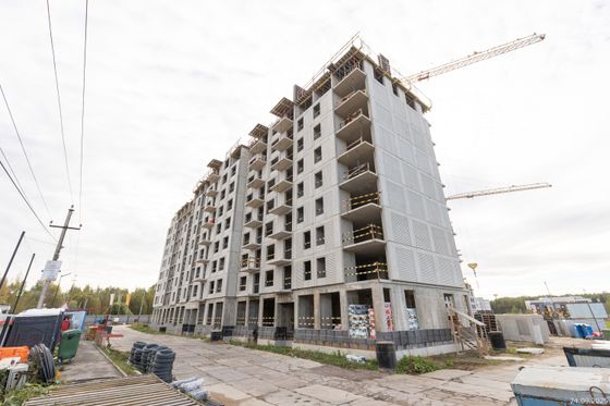 ЖК «Янила Форест», корпус 1 — 3 кв. 2025 г.