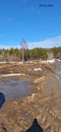 ЖК «Шервуд», корпус 15В, к. 4 — 1 кв. 2024 г.