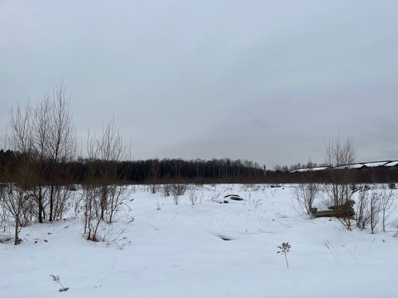 ЖК «Кореневский Форт 2.3», корпус 1 — 1 кв. 2026 г.