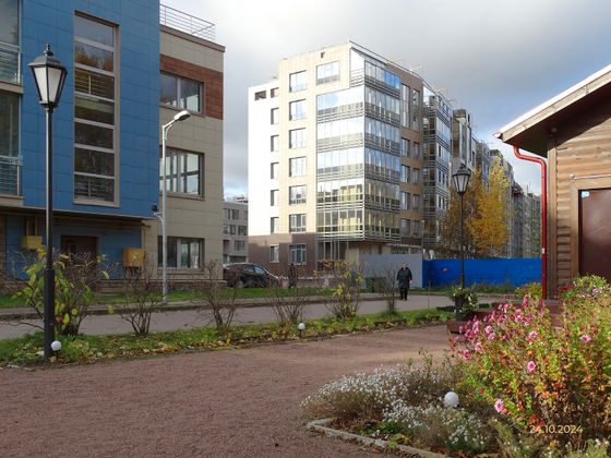 Дом «БФА в Озерках», Суздальское ш., 8 — 4 кв. 2024 г.