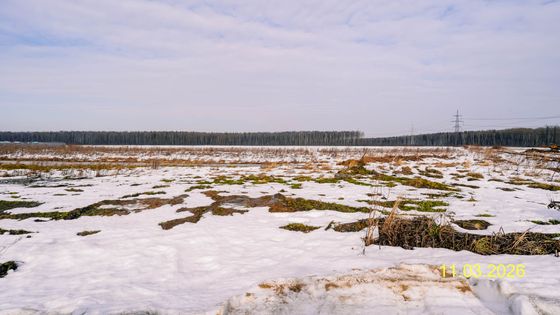 ЖК «Невская Долина», корпус 7.2 — 1 кв. 2026 г.