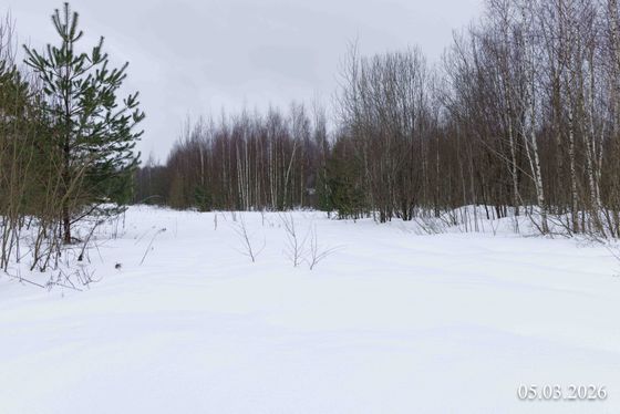 ЖК «Притяжение Сити», корпус 8 — 1 кв. 2026 г.